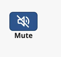 Checked Icon Check Button with the label Mute